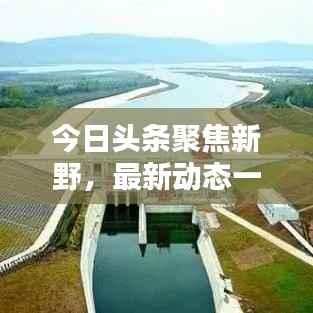 束手就禽 第5页