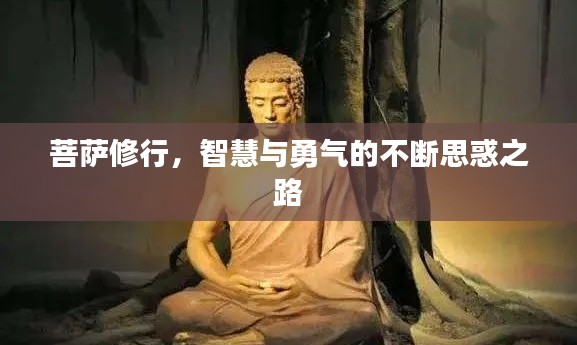 菩萨修行，智慧与勇气的不断思惑之路