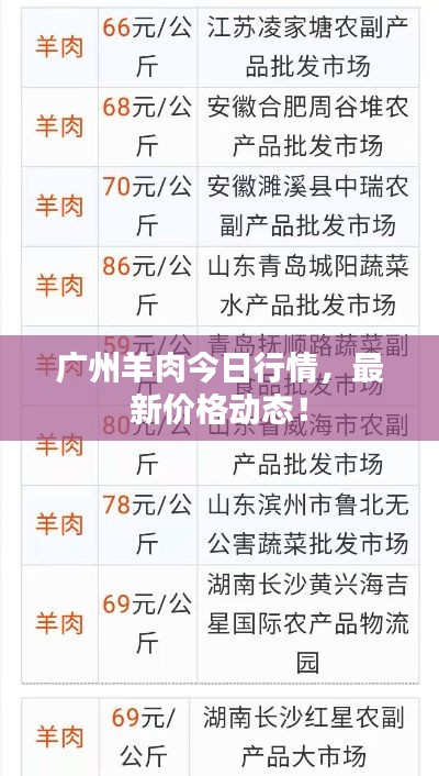 广州羊肉今日行情,最新价格动态!