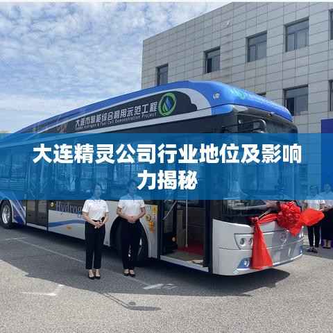 大连精灵公司行业地位及影响力揭秘