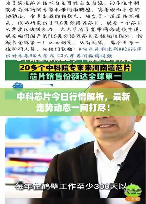 中科芯片今日行情解析，最新走势动态一网打尽！