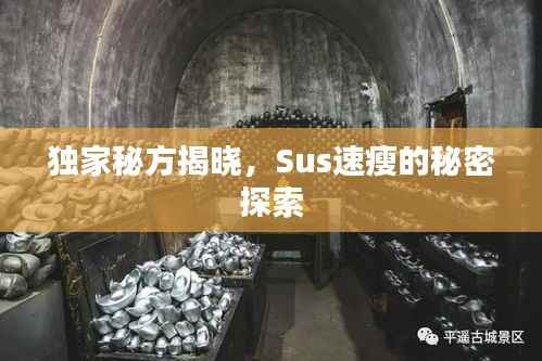 独家秘方揭晓,Sus速瘦的秘密探索