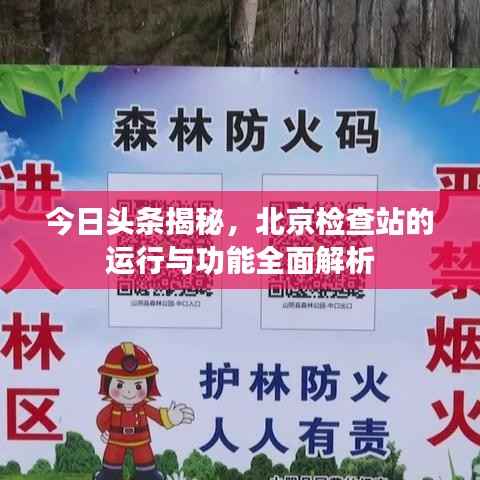 一本正经 第4页