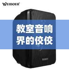 教室音响界的佼佼者,揭秘排名前十的品牌!