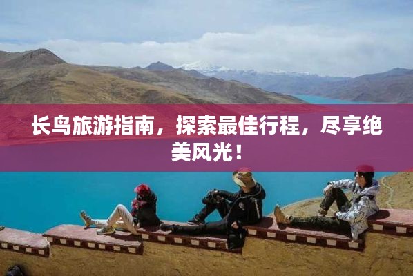 长鸟旅游指南,探索最佳行程,尽享绝美风光!
