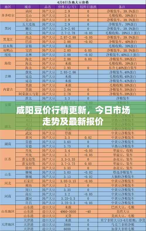 咸阳豆价行情更新,今日市场走势及最新报价