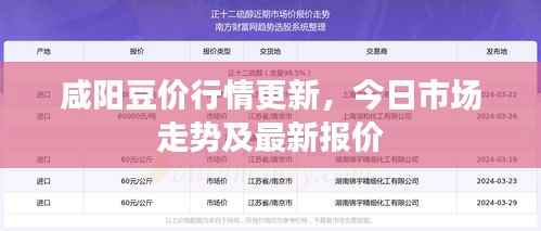 咸阳豆价行情更新,今日市场走势及最新报价