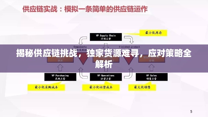 揭秘供应链挑战,独家货源难寻,应对策略全解析