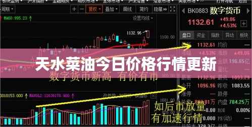 天水菜油今日价格行情更新