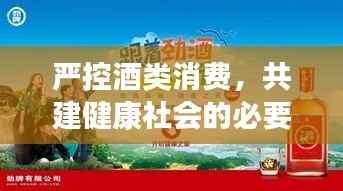 严控酒类消费，共建健康社会的必要措施