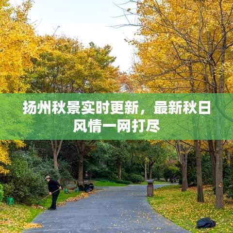 扬州秋景实时更新,最新秋日风情一网打尽