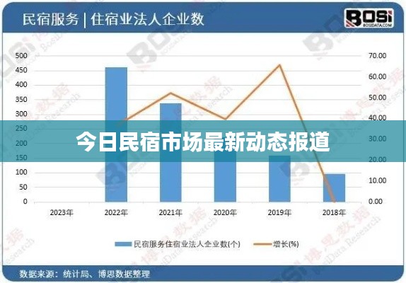 今日民宿市场最新动态报道