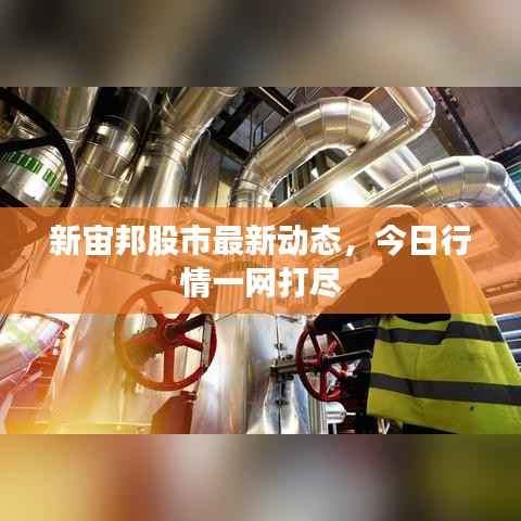 新宙邦股市最新动态,今日行情一网打尽