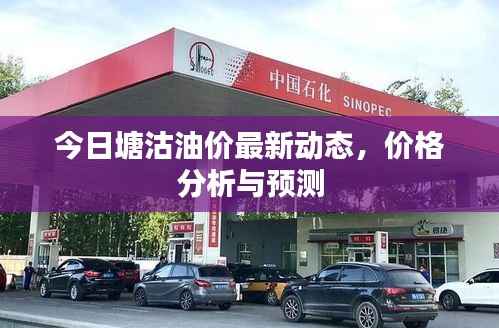 今日塘沽油价最新动态,价格分析与预测