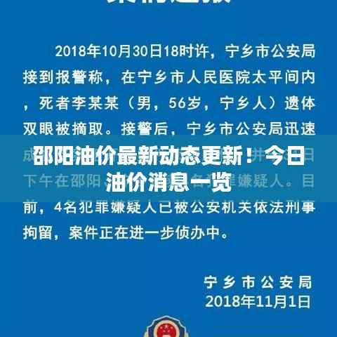 邵阳油价最新动态更新!今日油价消息一览