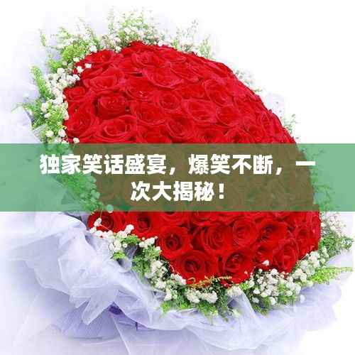 独家笑话盛宴,爆笑不断,一次大揭秘!