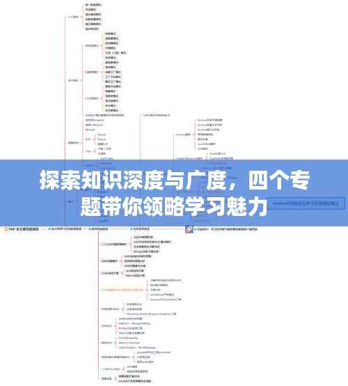 探索知识深度与广度,四个专题带你领略学习魅力