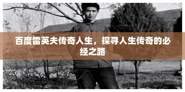 百度雷英夫传奇人生,探寻人生传奇的必经之路