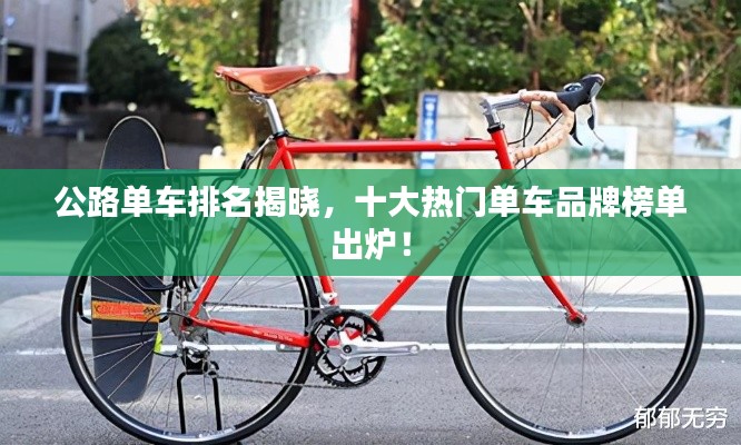 公路单车排名揭晓,十大热门单车品牌榜单出炉!