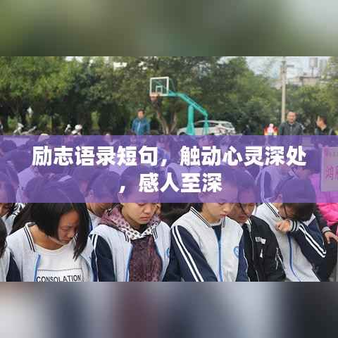 励志语录短句,触动心灵深处,感人至深