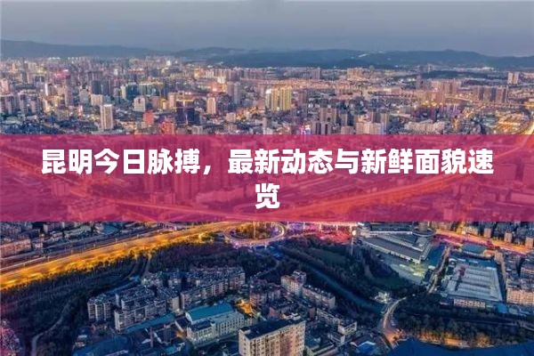 昆明今日脉搏,最新动态与新鲜面貌速览