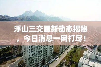 浮山三交最新动态揭秘,今日消息一网打尽!
