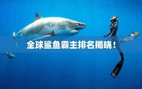 全球鲨鱼霸主排名揭晓!