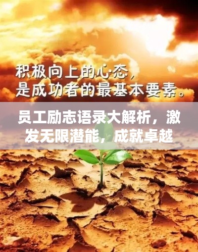 龙飞九五 第4页