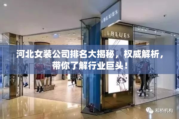 河北女装公司排名大揭秘，权威解析，带你了解行业巨头！