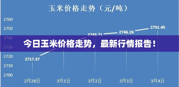 今日玉米价格走势,最新行情报告!