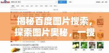 揭秘百度图片搜索,探索图片奥秘,一搜便知