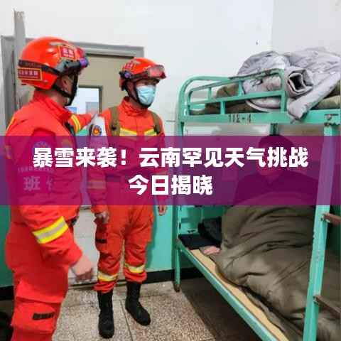 鸟之将死 第4页