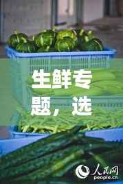 生鲜专题，选购、保存与烹饪新鲜食材的秘诀！