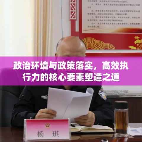 政治环境与政策落实，高效执行力的核心要素塑造之道