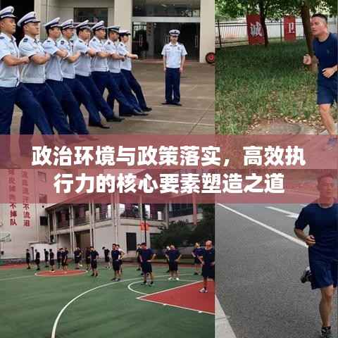 政治环境与政策落实,高效执行力的核心要素塑造之道