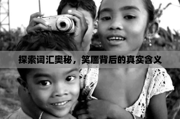 探索词汇奥秘，笑靥背后的真实含义