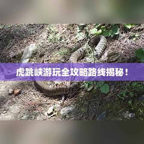 虎跳峡游玩全攻略路线揭秘！