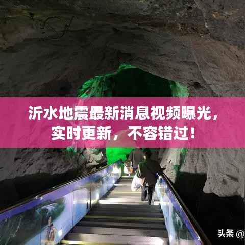 瑞雪飞舞 第4页