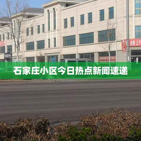 石家庄小区今日热点新闻速递