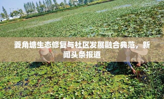 菱角塘生态修复与社区发展融合典范,新闻头条报道