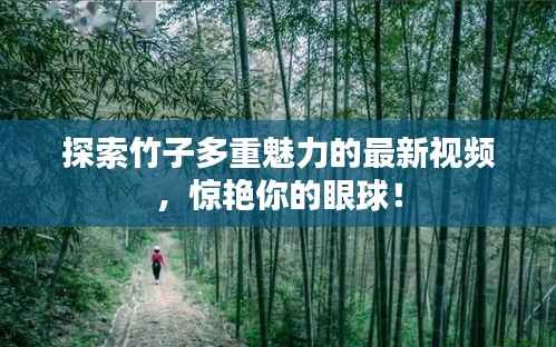 探索竹子多重魅力的最新视频,惊艳你的眼球!