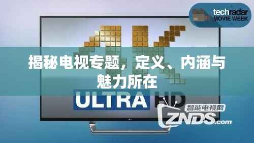 揭秘电视专题,定义、内涵与魅力所在