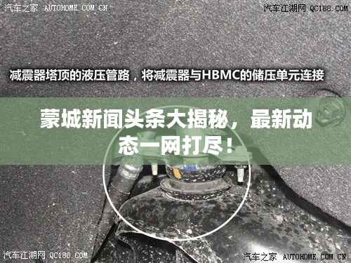 蒙城新闻头条大揭秘，最新动态一网打尽！