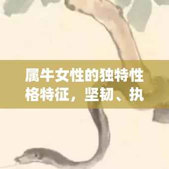 属牛女性的独特性格特征,坚韧、执着、值得信赖的特质展现!