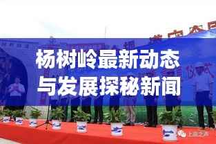 杨树岭最新动态与发展探秘新闻头条