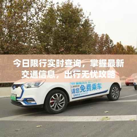 今日限行实时查询,掌握最新交通信息,出行无忧攻略