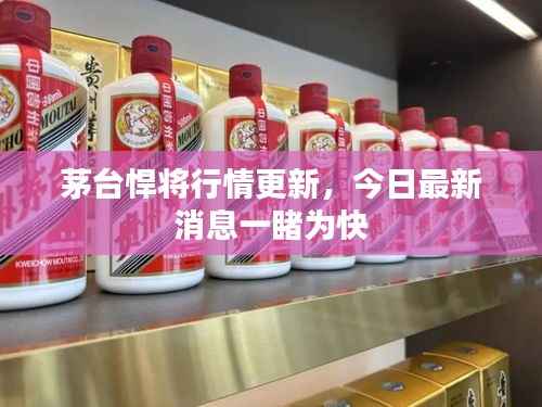 茅台悍将行情更新,今日最新消息一睹为快