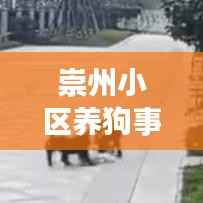 崇州小区养狗事件掀起波澜,最新进展揭秘!