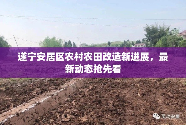 遂宁安居区农村农田改造新进展，最新动态抢先看
