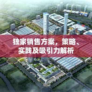独家销售方案,策略、实践及吸引力解析